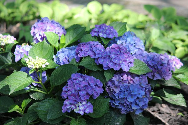 Des solutions sur mesure avec un artisan plombier à Ancenis